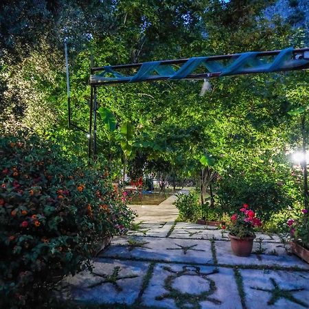 Arya Holiday Houses Çıralı エクステリア 写真