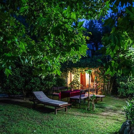 Arya Holiday Houses Çıralı エクステリア 写真